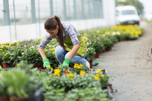 Community gardener planting in a Fitzrovia plot with accessible raised beds
