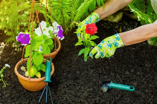 Community garden project by Gardening Fitzrovia