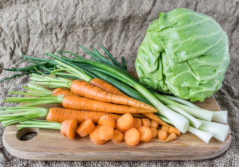 irrigation system garden